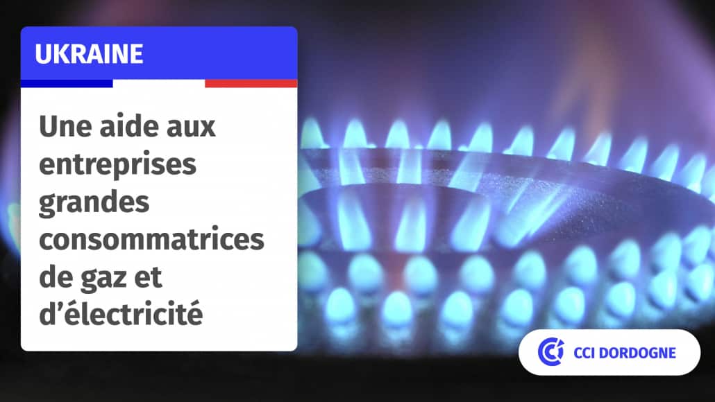 Une Aide Pour Les Entreprises Les Plus Consommatrices De Gaz Et D ...