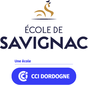 logo-Ecole-vertical-quadri-cci-copie-1